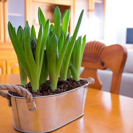 Apartamento Los Narcisos Chulilla Eksteriør billede
