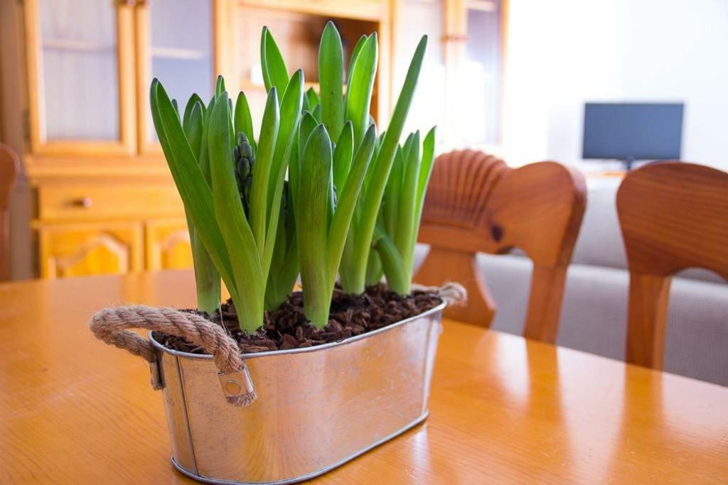 Apartamento Los Narcisos Chulilla Eksteriør billede
