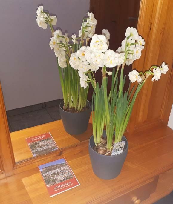 Apartamento Los Narcisos Chulilla Eksteriør billede